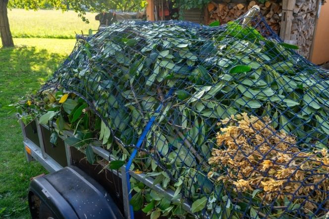 Green Waste Removal