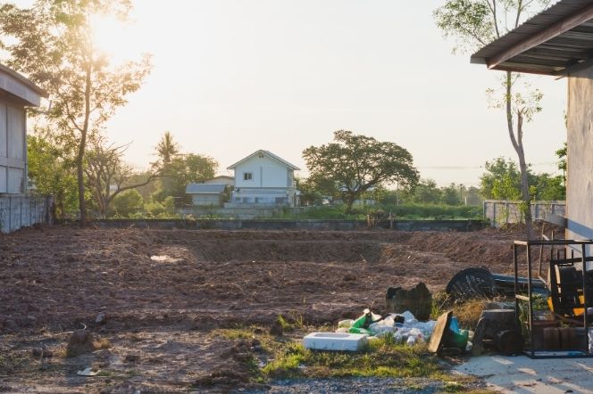 Lot & Property Cleanup