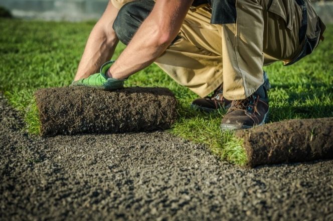 Natural Sod Installation