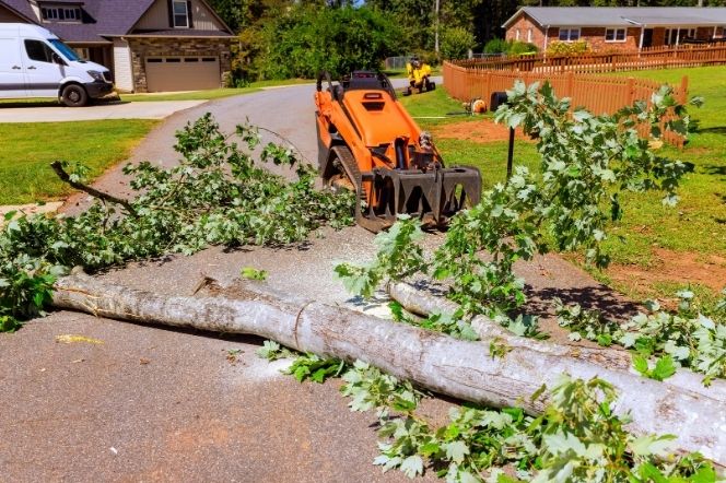 Storm Cleanup