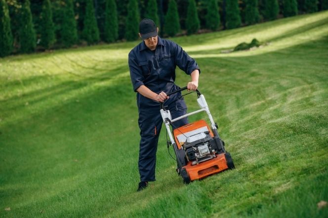 Torres Lawn Care Services
