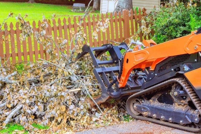 Torres Property Cleanup & Fence